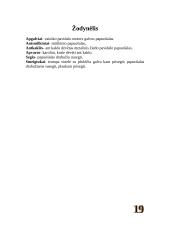 Geležies amžiaus moterų papuošalai 19 puslapis