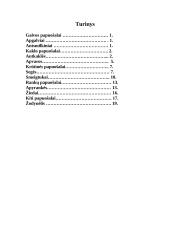 Geležies amžiaus moterų papuošalai 20 puslapis