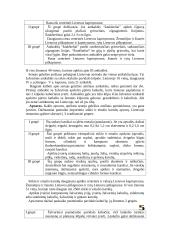 Geležies amžiaus moterų papuošalai 5 puslapis