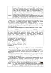 Geležies amžiaus moterų papuošalai 10 puslapis