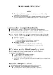 Genetikos pagrindai 2 puslapis