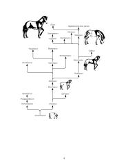 Genetikos pagrindai 4 puslapis