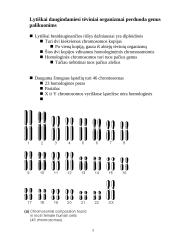 Genetikos pagrindai 5 puslapis
