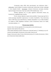 Genetikos pagrindai 7 puslapis