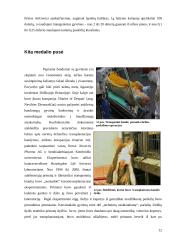 Genetinė inžinerija 12 puslapis