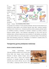 Genetinė inžinerija 5 puslapis