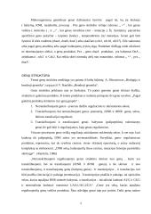 Geno sandrara ir funkcija 5 puslapis