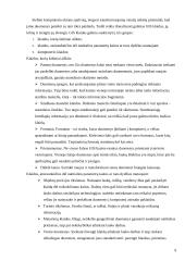 Geografinės informacijos sistemos (GIS) 8 puslapis