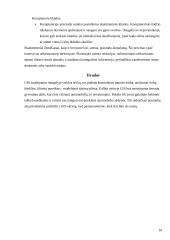 Geografinės informacijos sistemos (GIS) 9 puslapis