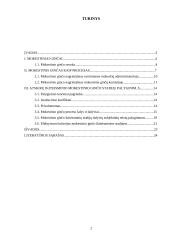 Atskirų ikiteisminio mokestinio ginčo nagrinėjimo stadijų palyginimas Lietuvoje 2 puslapis