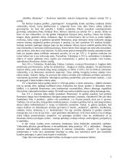 Gotika, gotikinis menas 5 puslapis