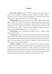 Grabnyčios 2 puslapis