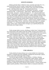 Graikų ir romėnų lyginamoji analizė 2 puslapis
