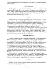 Graikų ir romėnų lyginamoji analizė 4 puslapis
