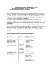 Gramneigiamos anaerobinės bakterijos 2 puslapis