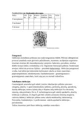 Gramneigiamos anaerobinės bakterijos 5 puslapis