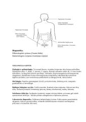 Gramneigiamos anaerobinės bakterijos 6 puslapis