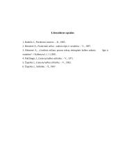 Grožinis stilius 12 puslapis