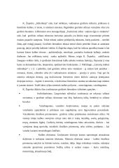 Grožinis stilius 3 puslapis