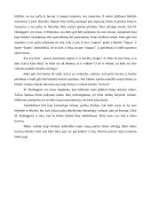 Heideggerio būties samprata 11 puslapis