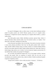 Heideggerio būties samprata 12 puslapis