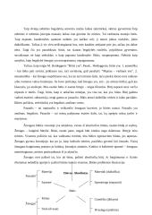 Heideggerio būties samprata 13 puslapis