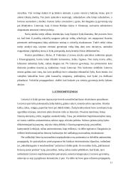 Žydų paplitimas, kalba, kultūra, religija ir Holokaustas 11 puslapis