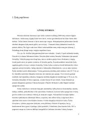 Žydų paplitimas, kalba, kultūra, religija ir Holokaustas 3 puslapis