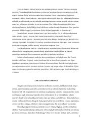 Žydų paplitimas, kalba, kultūra, religija ir Holokaustas 6 puslapis