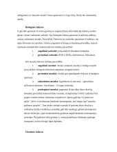 Homeopatinių vaistų vieta medicinoje 5 puslapis