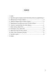 Insulto rizikos veiksniai 2 puslapis