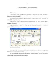 Integruota programinė įranga 11 puslapis