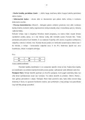 Integruota programinė įranga 17 puslapis