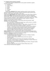 Intelektikos ypatybės projektavimo procese 3 puslapis