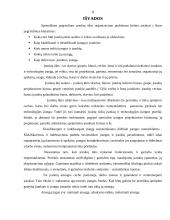 Įrankių ūkio organizavimas 10 puslapis