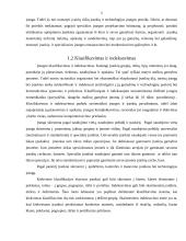 Įrankių ūkio organizavimas 4 puslapis