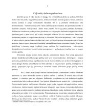 Įrankių ūkio organizavimas 8 puslapis