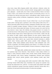 Ispanijos ir Anglijos renesansinis teatro kostiumas 4 puslapis