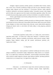 Italijos ir Lietuvos švietimo sistemų palyginimas 11 puslapis