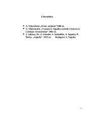 Jogaila – žmogus, kurio niekas nepažįsta 11 puslapis