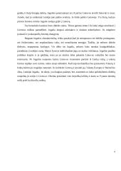 Jogaila – žmogus, kurio niekas nepažįsta 9 puslapis