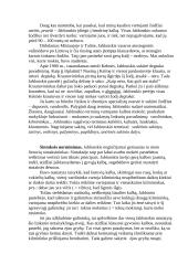 Jono Jablonskio darbai 5 puslapis