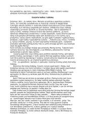 Valdovas Gajus Julijus Cezaris 2 puslapis