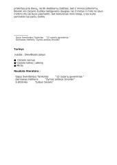 Valdovas Gajus Julijus Cezaris 8 puslapis