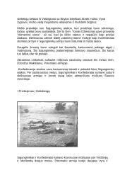 JAV pilietinis karas 1861-1865 m. 3 puslapis