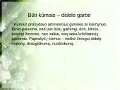 Jungtuvės, vestuvės, krikštynos 11 puslapis