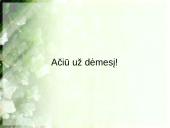 Jungtuvės, vestuvės, krikštynos 13 puslapis