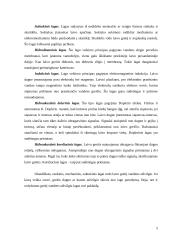Jūriniai prietaisai 5 puslapis