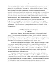 Kaimo amatai 5 puslapis