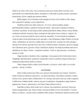 Kaimo amatai 6 puslapis